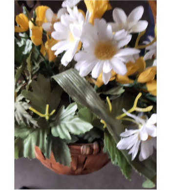 FLORERO