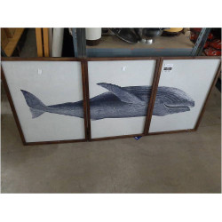 CUADRO SET 3 BALLENA CU203938