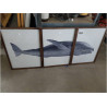 CUADRO SET 3 BALLENA CU203938