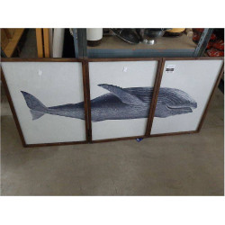 CUADRO SET 3 BALLENA CU203938
