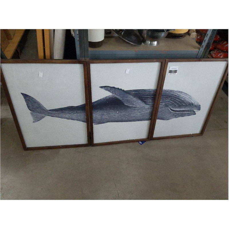 CUADRO SET 3 BALLENA CU203938