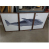 CUADRO SET 3 BALLENA CU203938