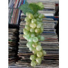 RACIMO DE UVAS ARTIFICIAL 