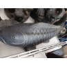 PESCADO 70CM